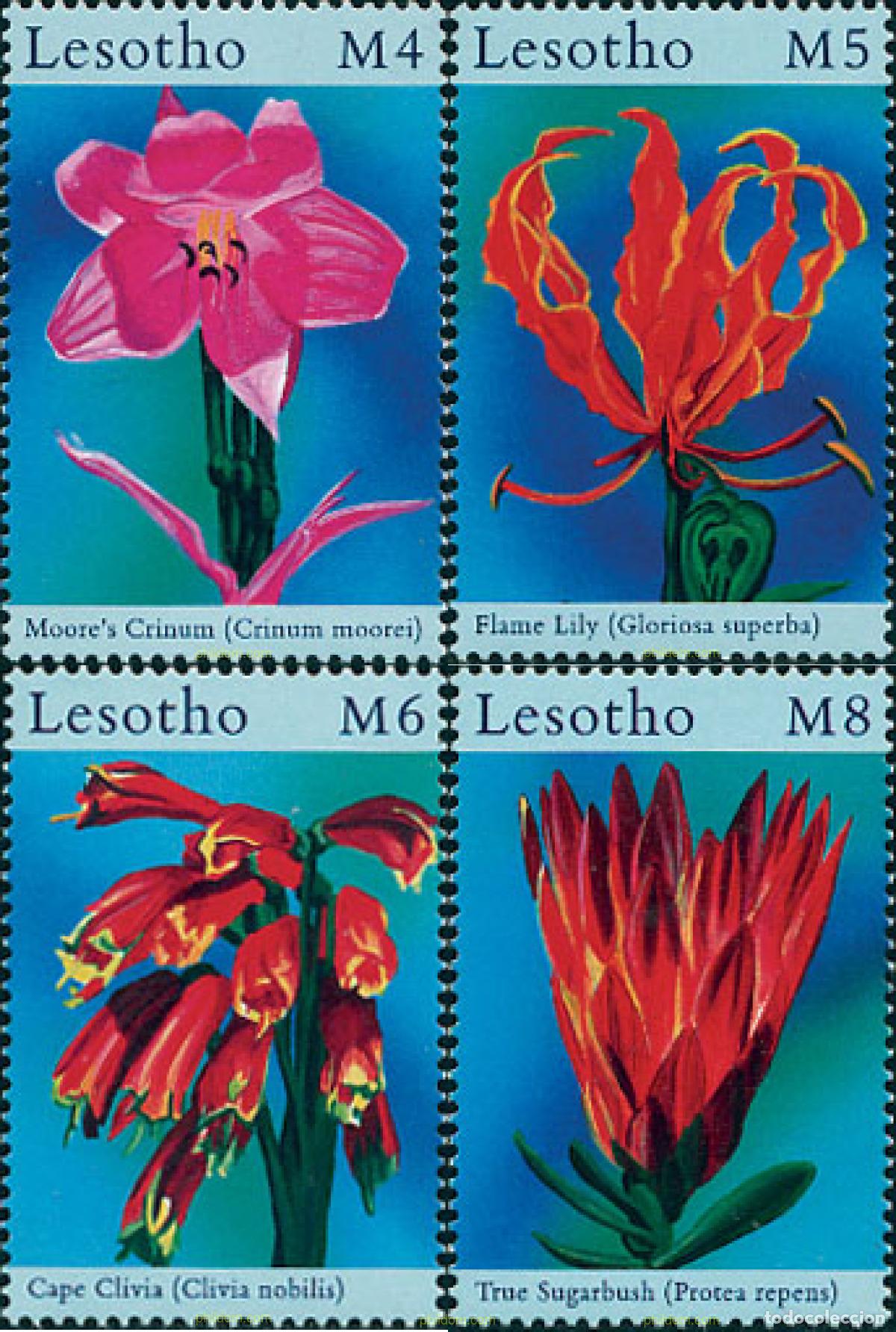 Sellos: 94424 MNH LESOTHO 2000 FLORES DE AFRICA