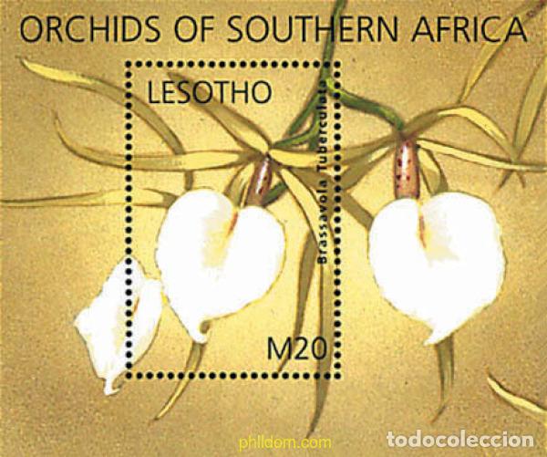 Sellos: 337980 MNH LESOTHO 2002 FLORA DEL SUR DE AFRICA
