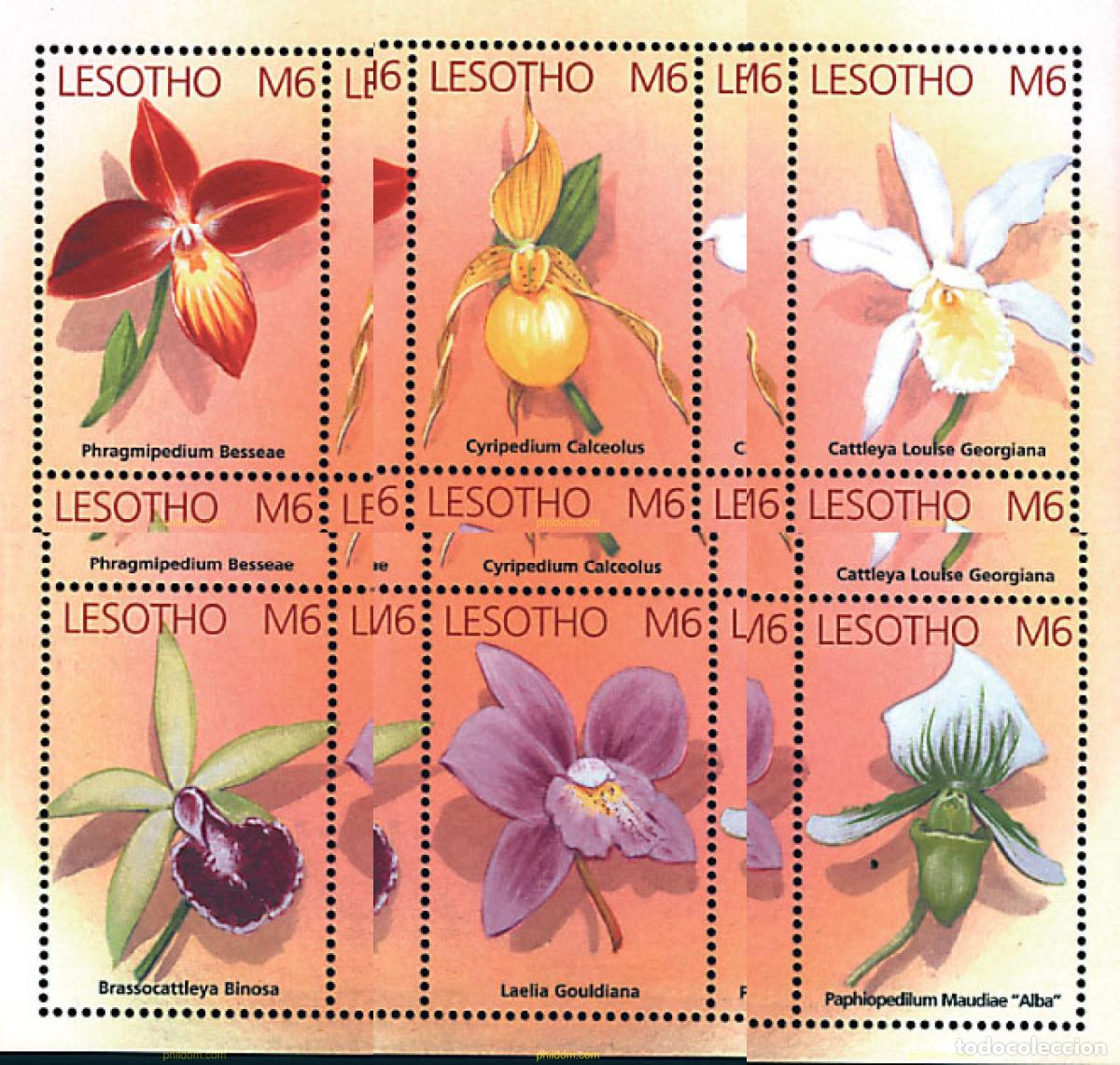 Sellos: 337979 MNH LESOTHO 2002 FLORA DEL SUR DE AFRICA