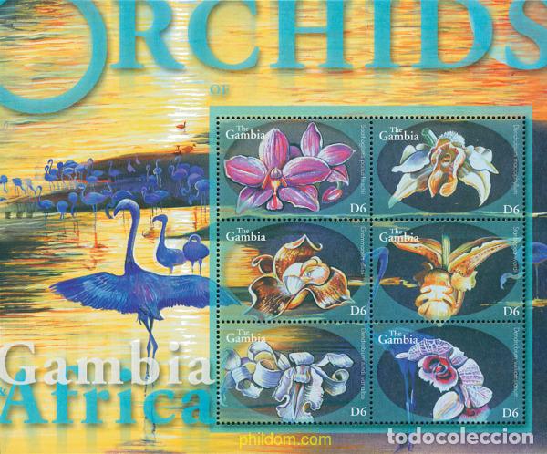 Sellos: 211059 MNH GAMBIA 2001 ORQUIDEAS DE GAMBIA