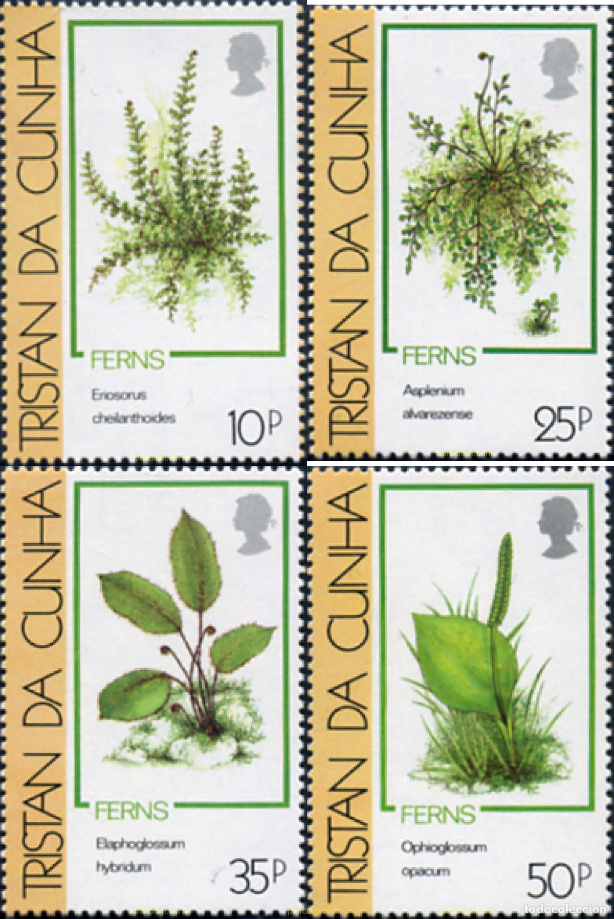 Sellos: 92329 MNH TRISTAN DA CUNHA 1989 HELECHOS