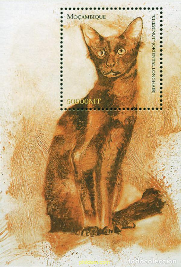 Sellos: 99702 MNH MOZAMBIQUE 2002 GATOS