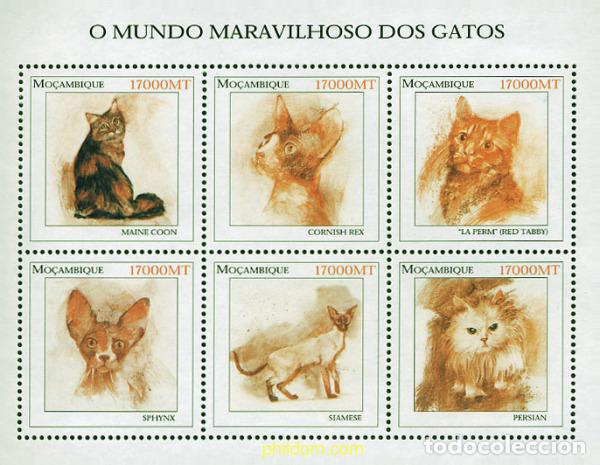 Sellos: 338199 MNH MOZAMBIQUE 2002 EL MARAVILLOSO MUNDO DE LOS GATOS