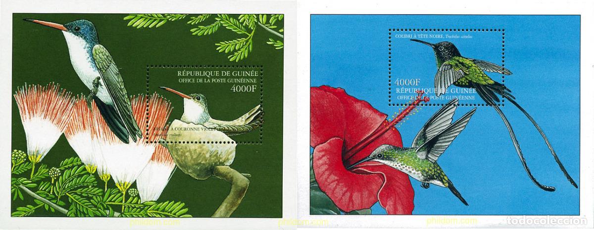 Sellos: 138471 MNH GUINEA 2001 COLIBRIS