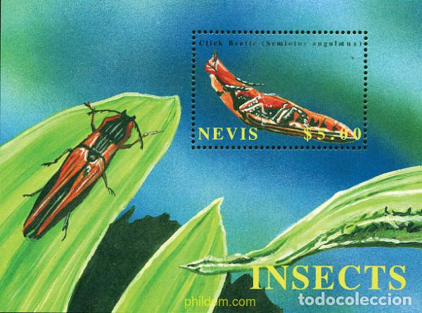 Sellos: 100405 MNH NEVIS 2002 INSECTOS