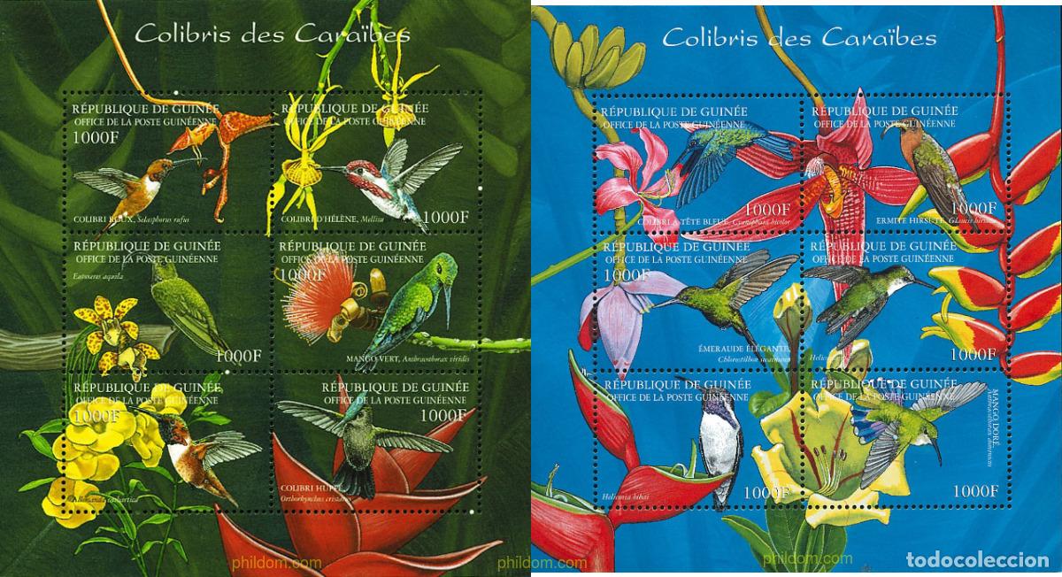 Sellos: 282484 MNH GUINEA 2001 COLIBRIS