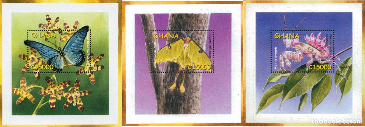 Sellos: 110775 MNH GHANA 2002 INSECTOS DE GHANA