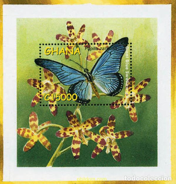 Sellos: 211245 MNH GHANA 2002 INSECTOS DE GHANA