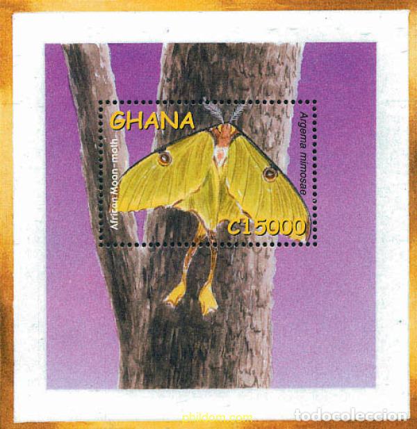 Sellos: 318140 MNH GHANA 2002 INSECTOS DE GHANA