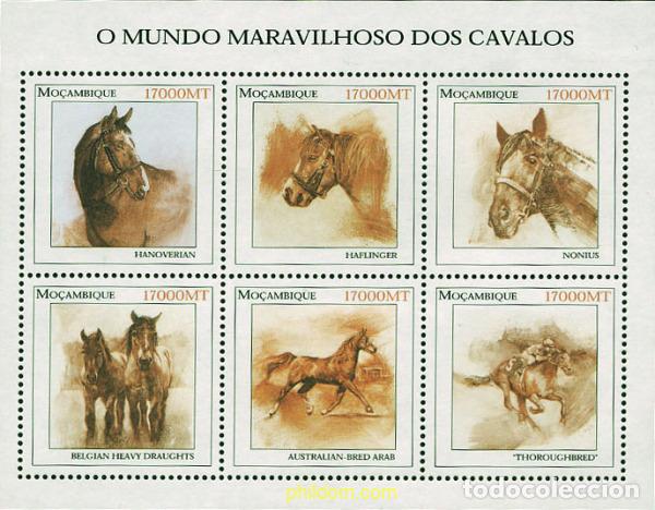 Sellos: 338200 MNH MOZAMBIQUE 2002 CABALLOS