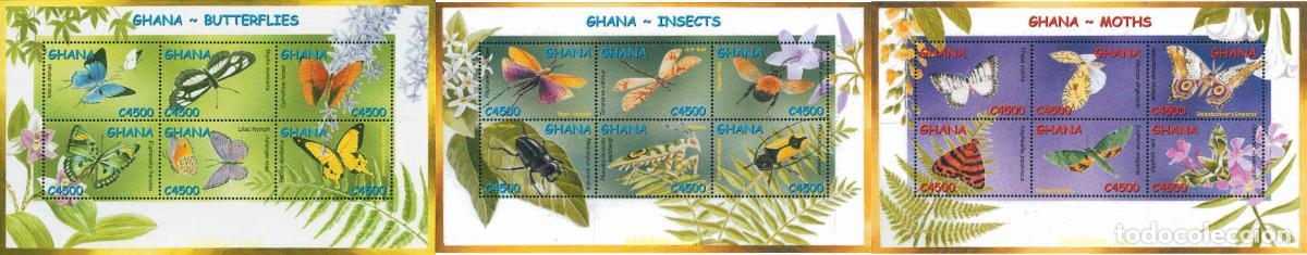 Sellos: 211294 MNH GHANA 2002 INSECTOS DE GHANA