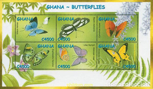 Sellos: 211295 MNH GHANA 2002 INSECTOS DE GHANA
