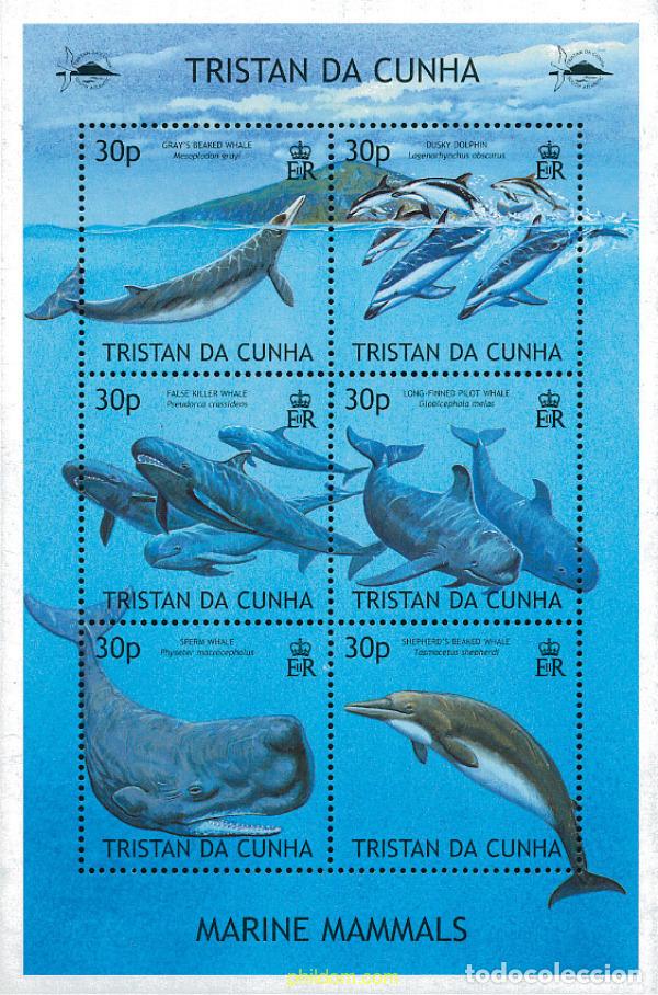 Sellos: 236958 MNH TRISTAN DA CUNHA 2002 MAMIFEROS MARINOS