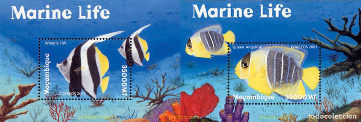 Sellos: 103013 MNH MOZAMBIQUE 2001 FAUNA MARINA