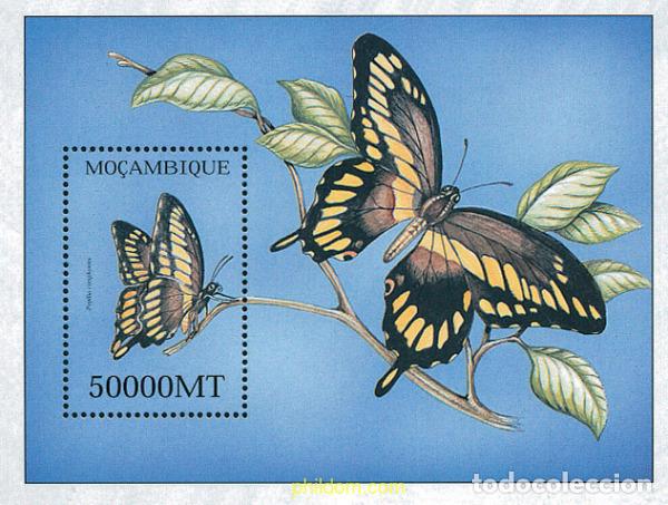 Sellos: 345919 MNH MOZAMBIQUE 2002 MARIPOSAS