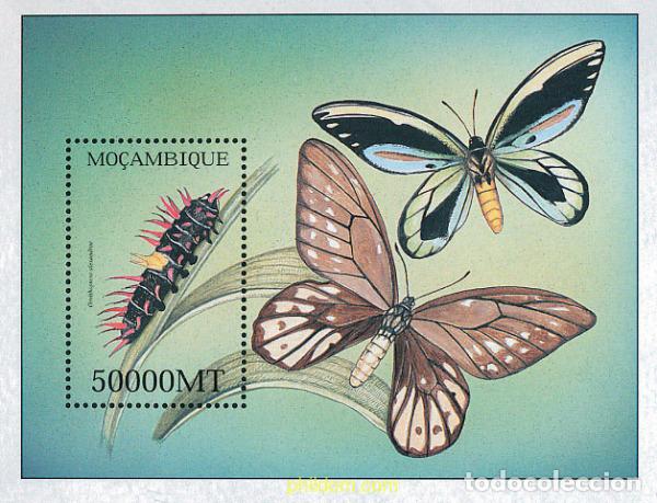 Sellos: 345931 MNH MOZAMBIQUE 2002 MARIPOSAS