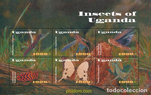 Sellos: 226697 MNH UGANDA 2002 INSECTOS DE UGANDA