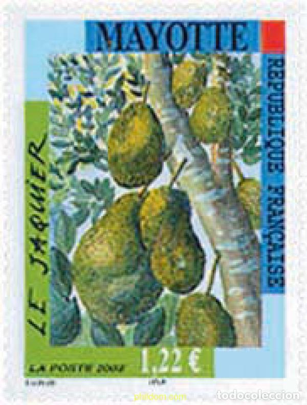Sellos: 113700 MNH MAYOTTE 2002 FLORA