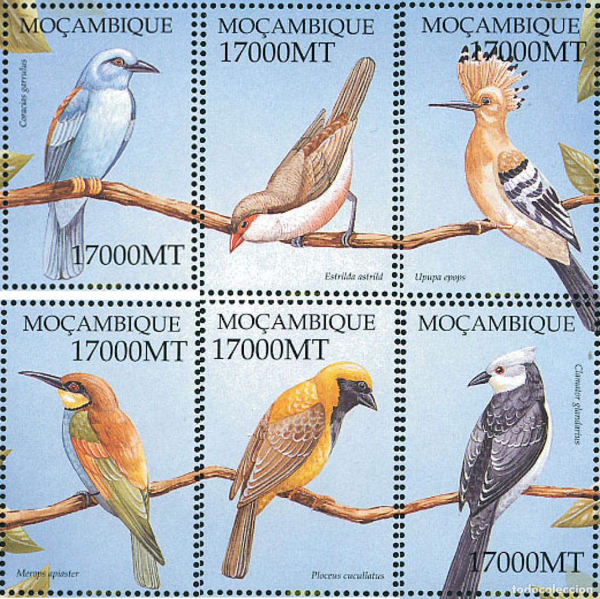 Sellos: 345933 MNH MOZAMBIQUE 2002 AVES DE AFRICA