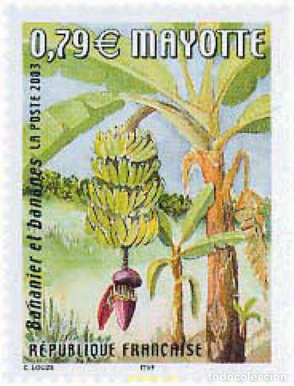 Sellos: 117376 MNH MAYOTTE 2003 FLORA