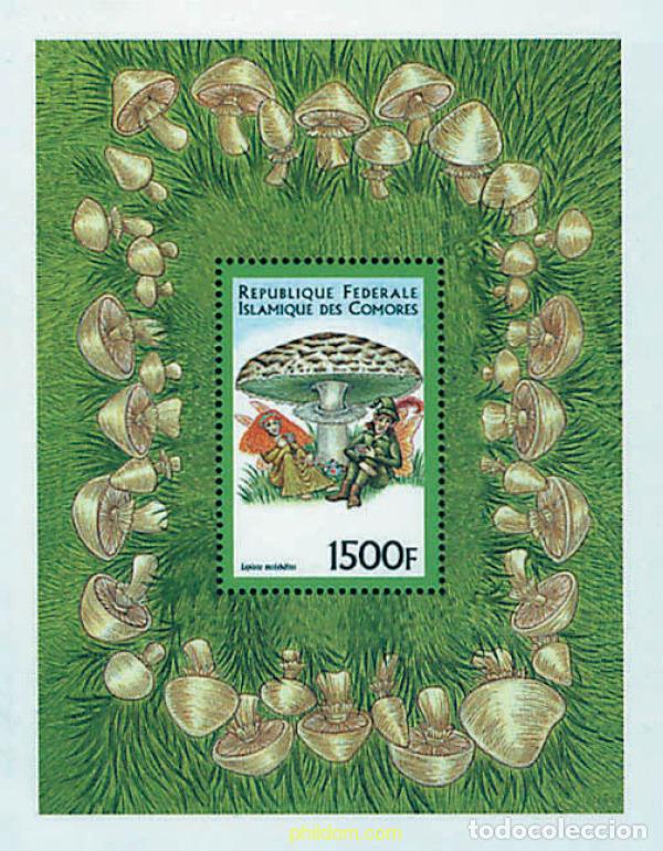 Sellos: 207975 MNH COMORES 1999 SETAS