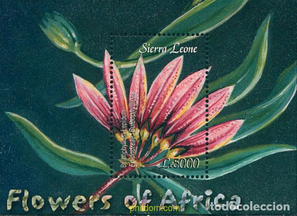 Briefmarken: 123121 MNH SIERRA LEONA 2003 FLORES DE AFRICA