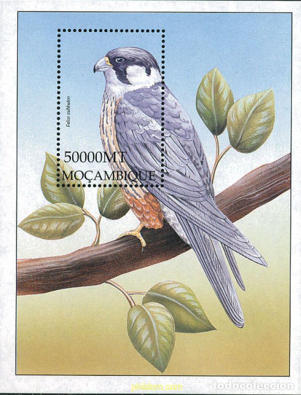 Briefmarken: 345921 MNH MOZAMBIQUE 2002 AVES DE AFRICA
