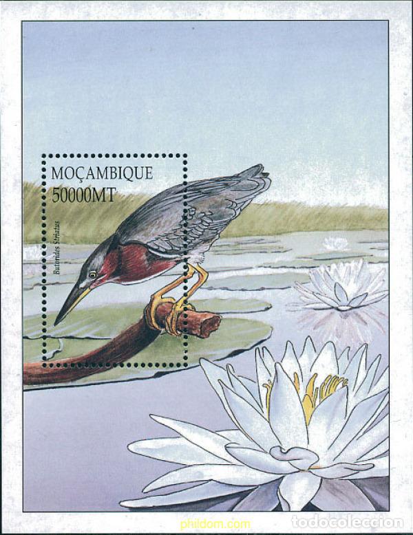 Briefmarken: 345934 MNH MOZAMBIQUE 2002 AVES DE AFRICA
