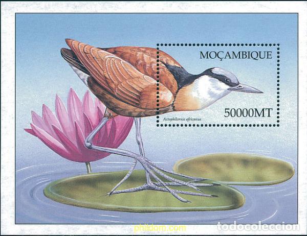 Briefmarken: 345935 MNH MOZAMBIQUE 2002 AVES DE AFRICA