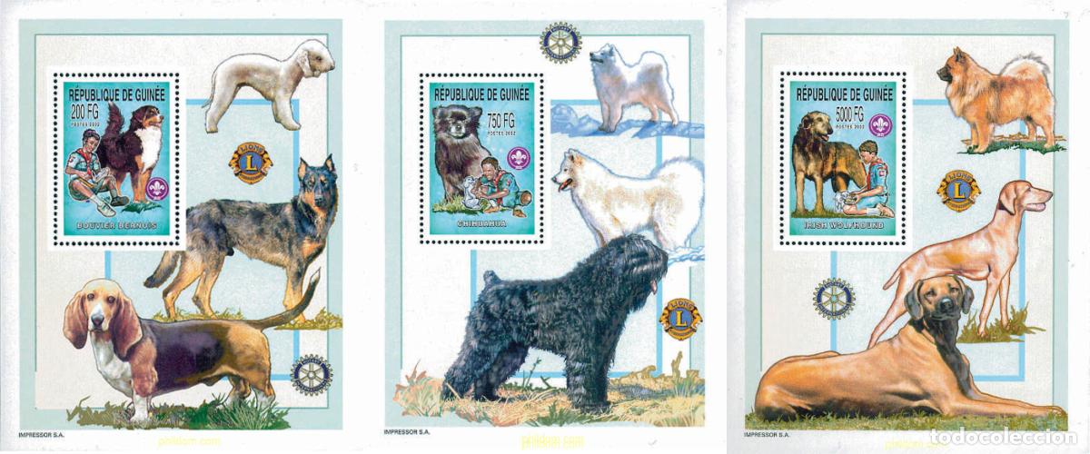 Sellos: 126051 MNH GUINEA 2002 ESCULTISMO Y FAUNA