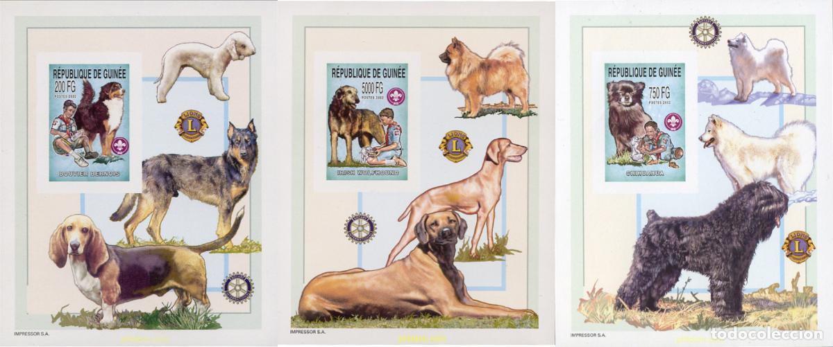 Sellos: 126052 MNH GUINEA 2002 ESCULTISMO Y FAUNA