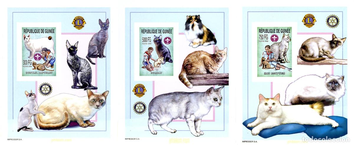 Sellos: 228296 MNH GUINEA 2002 ESCULTISMO Y FAUNA