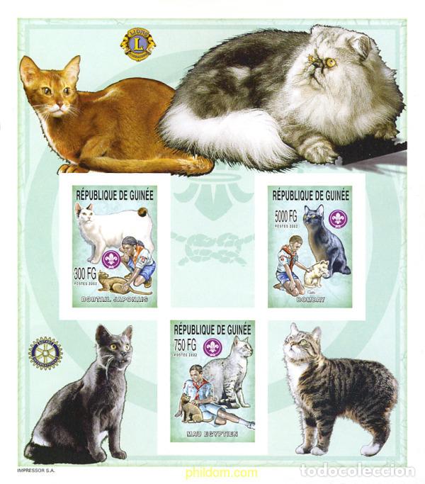Sellos: 228298 MNH GUINEA 2002 ESCULTISMO Y FAUNA