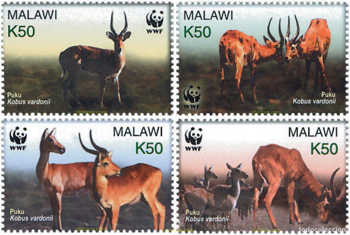 Sellos: 127596 MNH MALAWI 2003 PROTECCION DE LA NATURALEZA