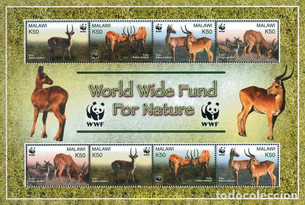Sellos: 127597 MNH MALAWI 2003 PROTECCION DE LA NATURALEZA