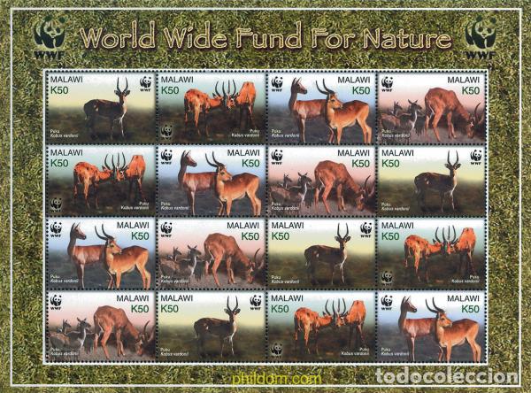 Sellos: 127598 MNH MALAWI 2003 PROTECCION DE LA NATURALEZA