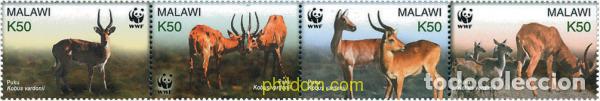 Sellos: 170703 MNH MALAWI 2003 PROTECCION DE LA NATURALEZA