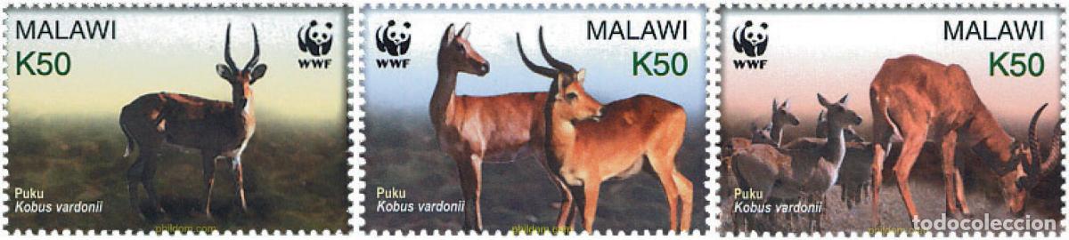 Sellos: 286093 MNH MALAWI 2003 PROTECCION DE LA NATURALEZA