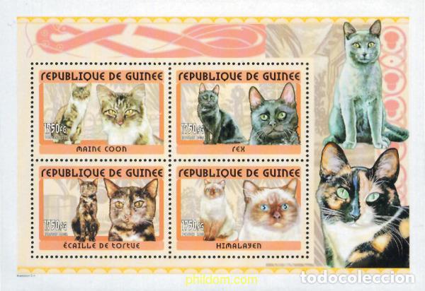 Stamps: 130725 MNH GUINEA 2001 GATOS