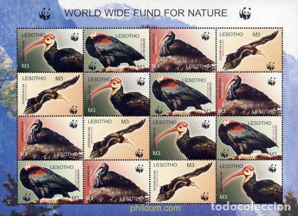 Sellos: 134026 MNH LESOTHO 2004 WWF. GERONTICUS CALVUS