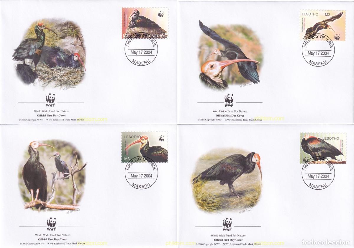 Sellos: 134028 MNH LESOTHO 2004 WWF. GERONTICUS CALVUS
