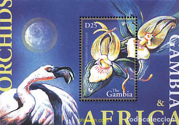 Sellos: 138461 MNH GAMBIA 2001 ORQUIDEAS AFRICANAS
