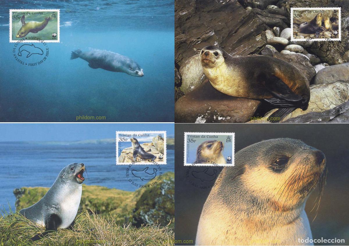 Sellos: 139571 MNH TRISTAN DA CUNHA 2004 WWF