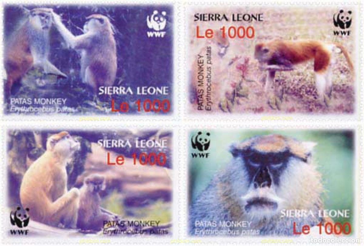 Sellos: 143120 MNH SIERRA LEONA 2004 WWF