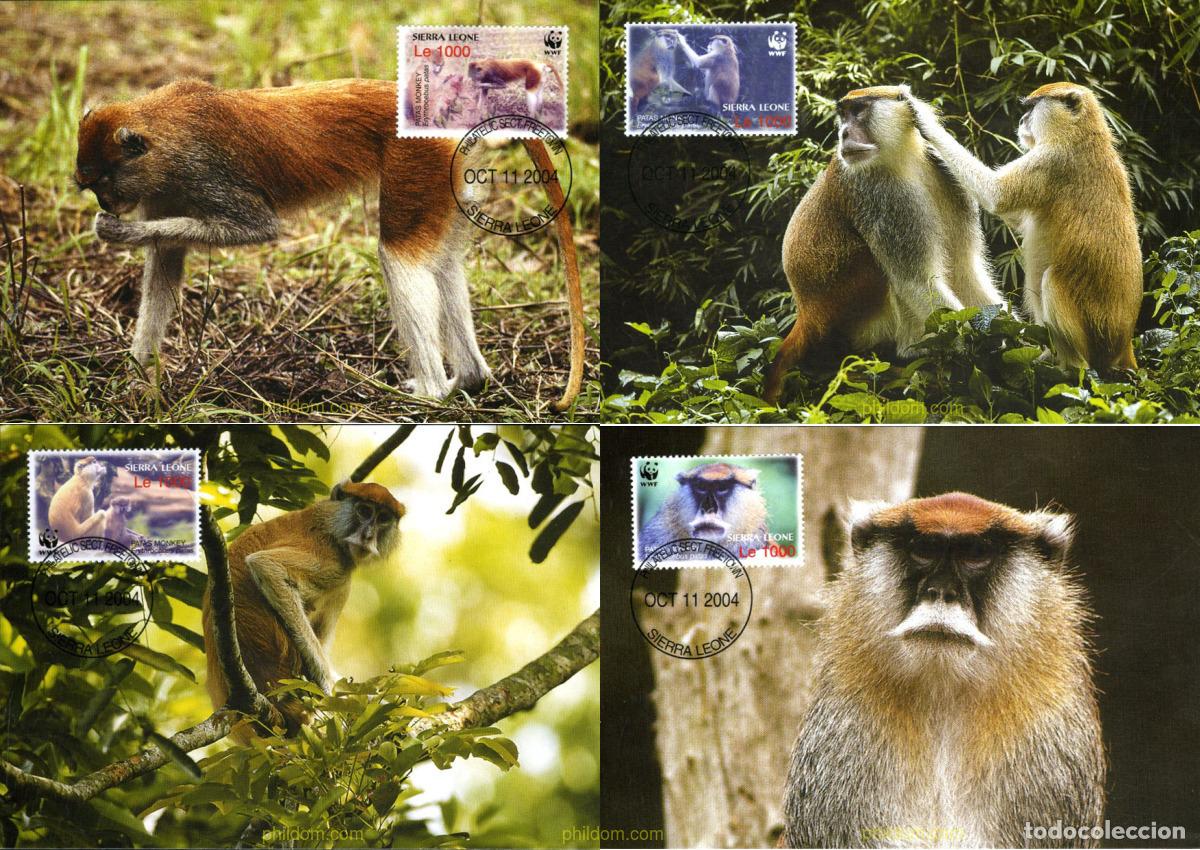 Sellos: 143125 MNH SIERRA LEONA 2004 WWF