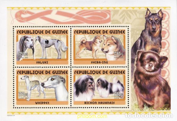 Sellos: 144161 MNH GUINEA 2001 PERROS