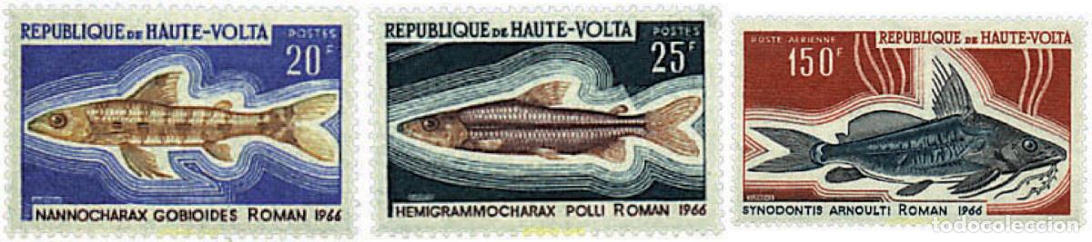 Sellos: 145529 MNH ALTO VOLTA 1969 PECES