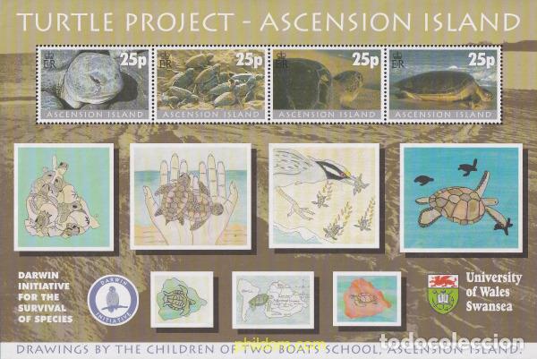 Sellos: 147545 MNH ASCENSION 2000 PROYECTO TORTUGA