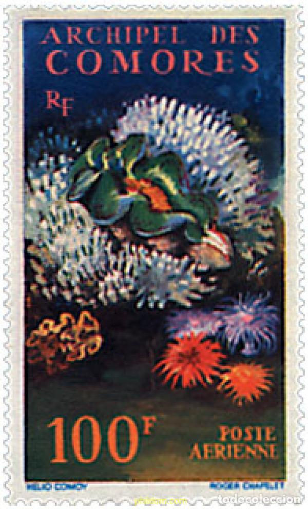 Sellos: 148098 MNH COMORES 1962 CORALES