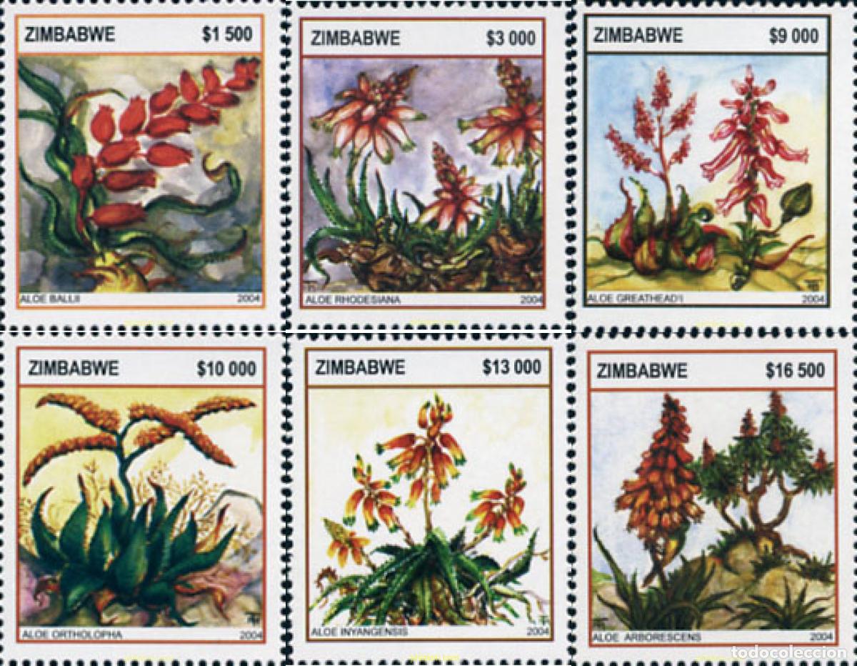 Sellos: 149558 MNH ZIMBABUE 2004 FLORA